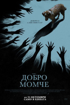 Добро момче Добро момче