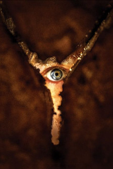 Return to Silent Hill