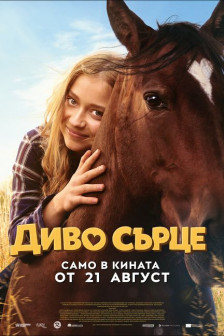Диво сърце