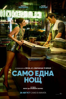 Само една нощ